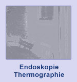 Endoskopie, Thermographie